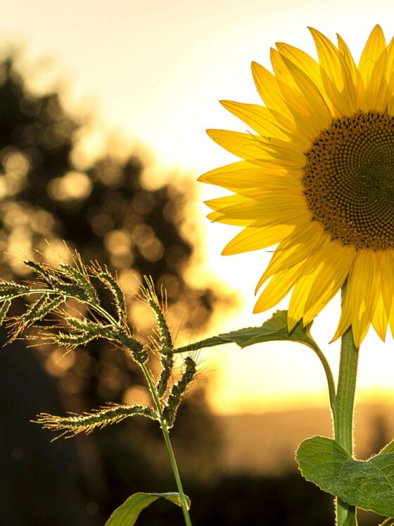 Weekend Recap: From Storms to Sunshine